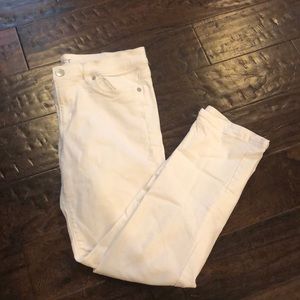 Ann Taylor Loft Modern Crop